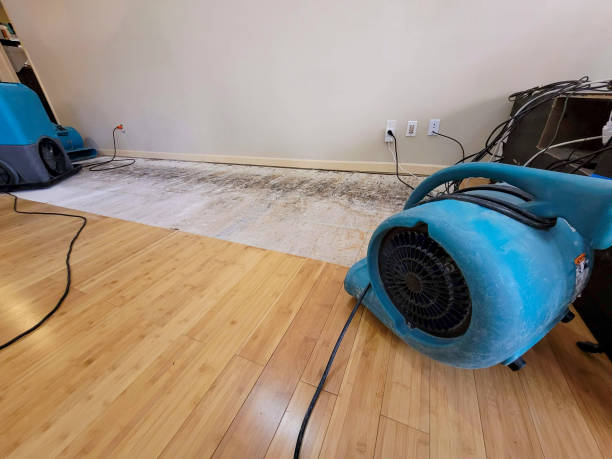 Professional Ceiling Water Damage Repair technician working in New Lebanon, NY